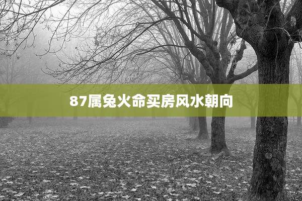 87属兔火命买房风水朝向