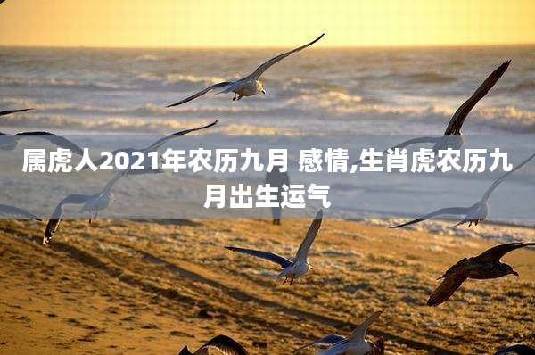属虎人2021年农历九月 感情,生肖虎农历九月出生运气