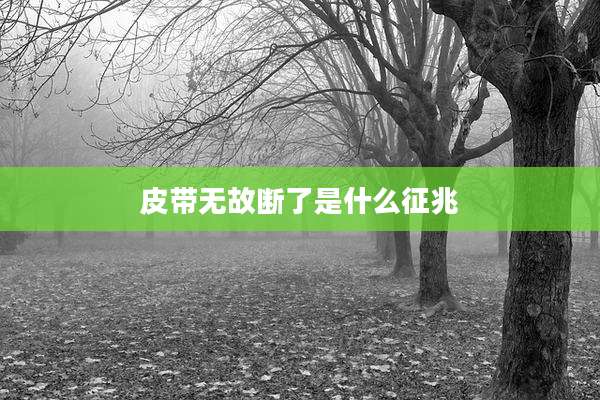 皮带无故断了是什么征兆