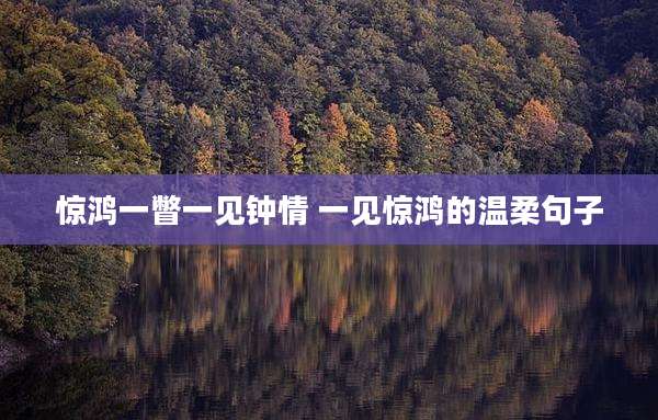 惊鸿一瞥一见钟情 一见惊鸿的温柔句子