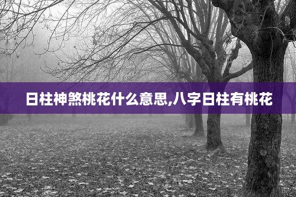 日柱神煞桃花什么意思,八字日柱有桃花