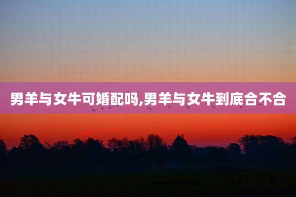 男羊与女牛可婚配吗,男羊与女牛到底合不合