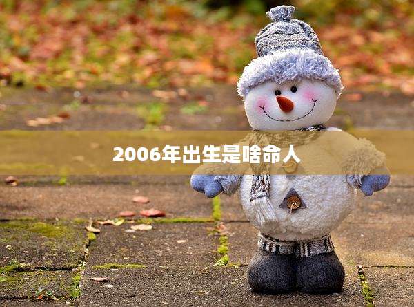 2006年出生是啥命人