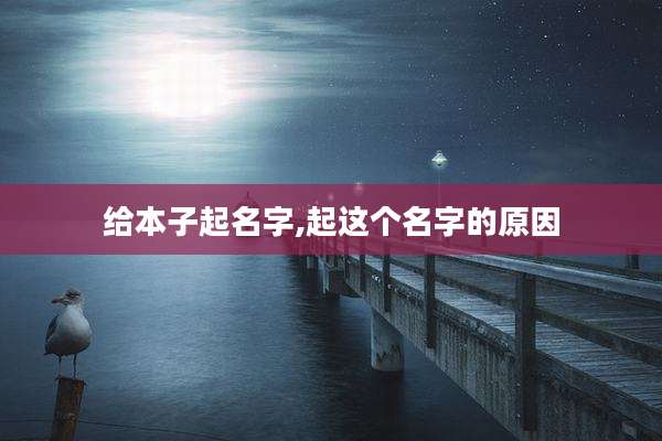 给本子起名字,起这个名字的原因