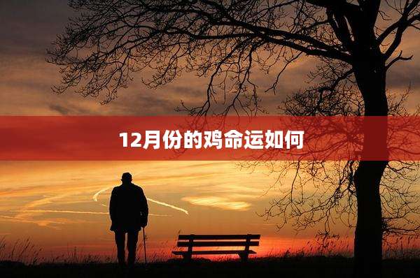 12月份的鸡命运如何