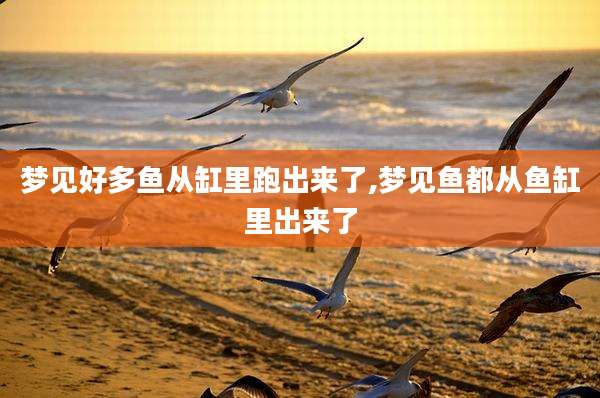 梦见好多鱼从缸里跑出来了,梦见鱼都从鱼缸里出来了