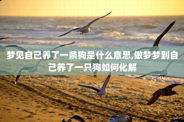 梦见自己养了一条狗是什么意思,做梦梦到自己养了一只狗如何化解