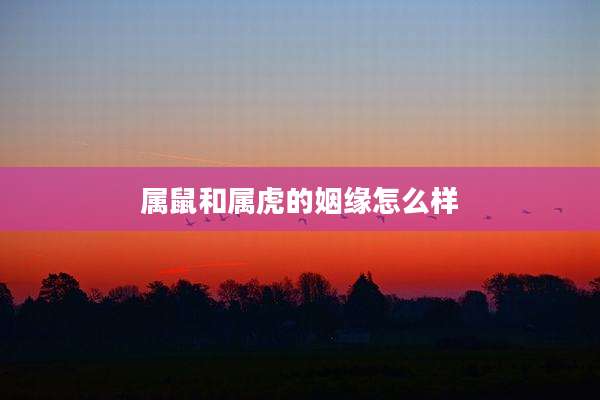 属鼠和属虎的姻缘怎么样