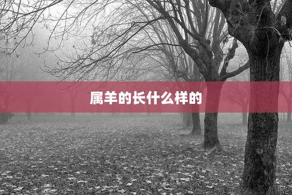 属羊的长什么样的
