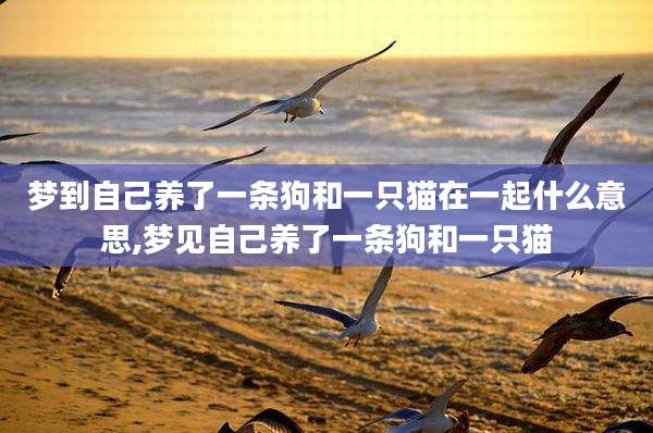 梦到自己养了一条狗和一只猫在一起什么意思,梦见自己养了一条狗和一只猫