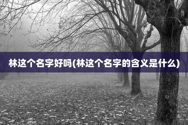 林这个名字好吗(林这个名字的含义是什么)