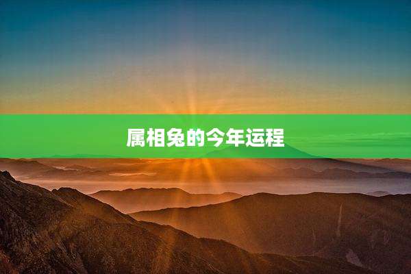 属相兔的今年运程