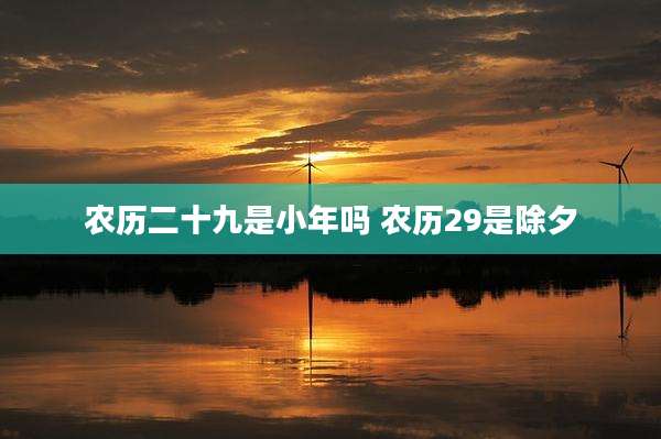 农历二十九是小年吗 农历29是除夕