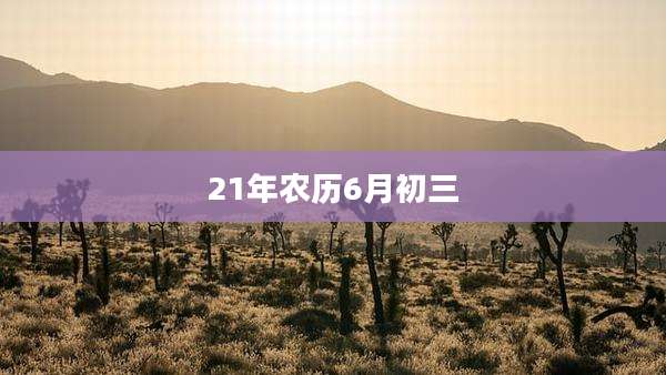 21年农历6月初三
