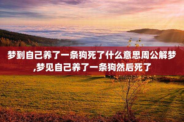 梦到自己养了一条狗死了什么意思周公解梦,梦见自己养了一条狗然后死了