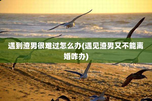 遇到渣男很难过怎么办(遇见渣男又不能离婚咋办)