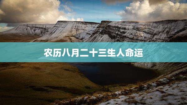 农历八月二十三生人命运