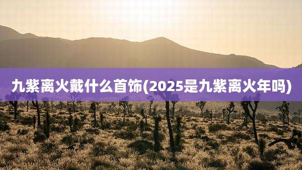 九紫离火戴什么首饰(2025是九紫离火年吗)