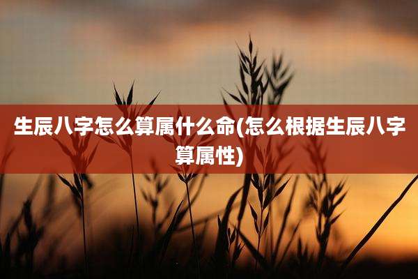 生辰八字怎么算属什么命(怎么根据生辰八字算属性)