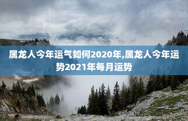 属龙人今年运气如何2020年,属龙人今年运势2021年每月运势