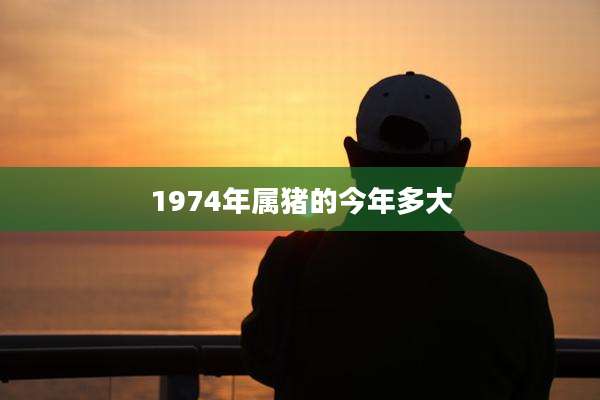 1974年属猪的今年多大