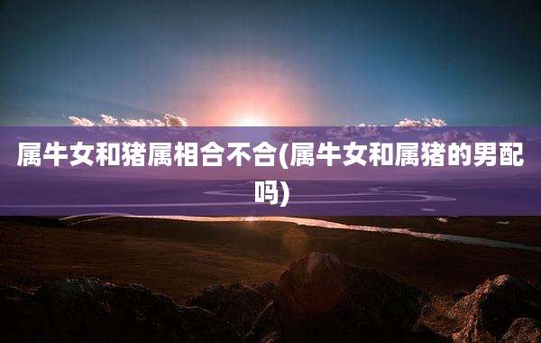 属牛女和猪属相合不合(属牛女和属猪的男配吗)