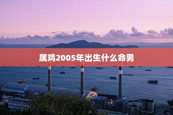 属鸡2005年出生什么命男