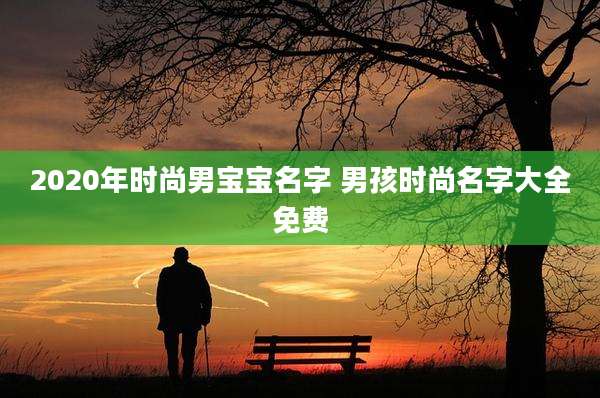 2020年时尚男宝宝名字 男孩时尚名字大全免费