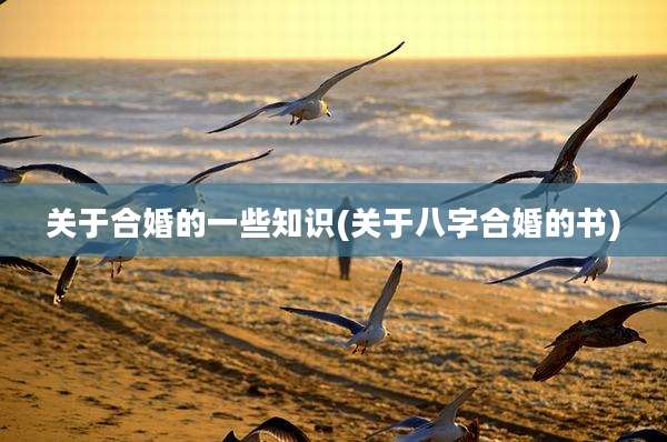 关于合婚的一些知识(关于八字合婚的书)