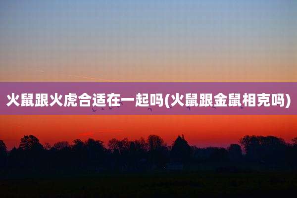火鼠跟火虎合适在一起吗(火鼠跟金鼠相克吗)