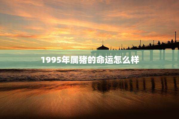 1995年属猪的命运怎么样