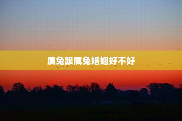 属兔跟属兔婚姻好不好
