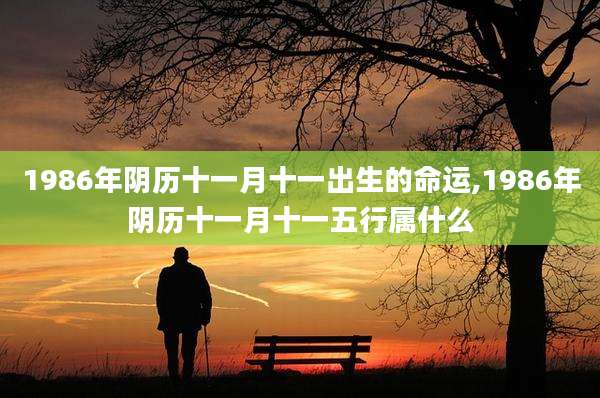1986年阴历十一月十一出生的命运,1986年阴历十一月十一五行属什么