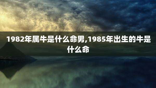 1982年属牛是什么命男,1985年出生的牛是什么命