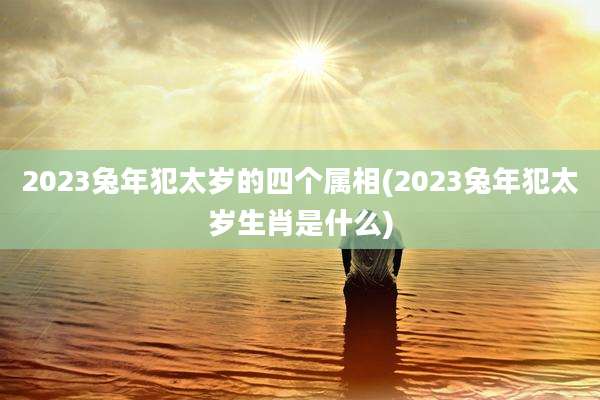 2023兔年犯太岁的四个属相(2023兔年犯太岁生肖是什么)