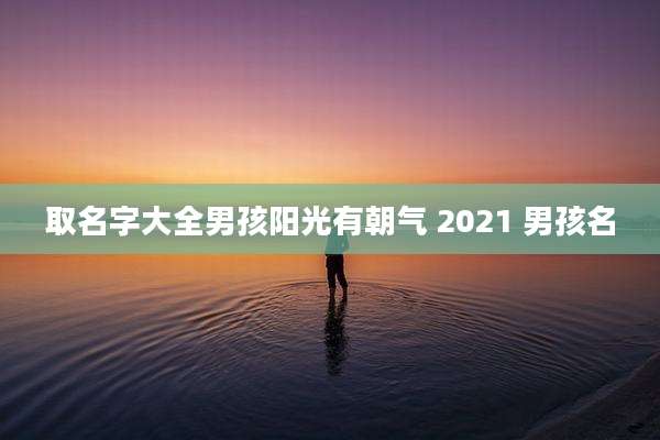 取名字大全男孩阳光有朝气 2021 男孩名