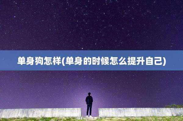 单身狗怎样(单身的时候怎么提升自己)