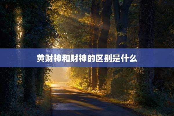 黄财神和财神的区别是什么