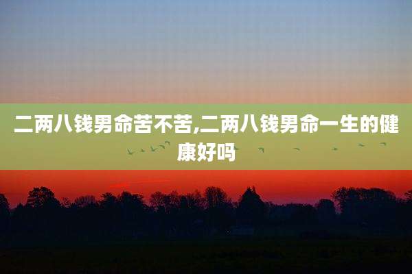 二两八钱男命苦不苦,二两八钱男命一生的健康好吗
