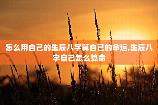 怎么用自己的生辰八字算自己的命运,生辰八字自己怎么算命