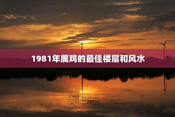1981年属鸡的最佳楼层和风水