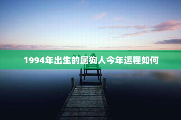 1994年出生的属狗人今年运程如何