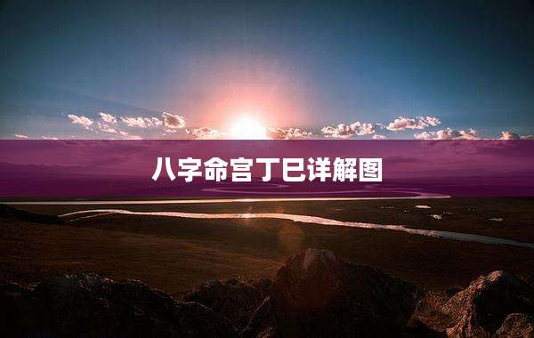 八字命宫丁巳详解图