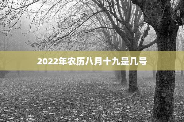2022年农历八月十九是几号