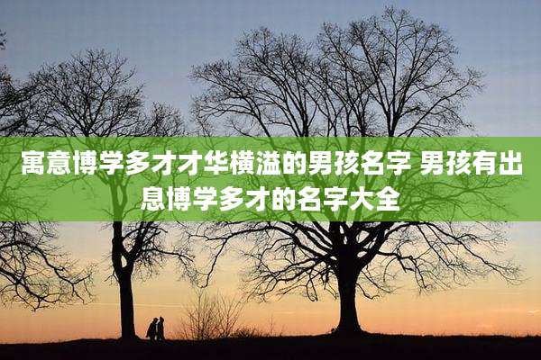 寓意博学多才才华横溢的男孩名字 男孩有出息博学多才的名字大全