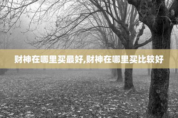 财神在哪里买最好,财神在哪里买比较好