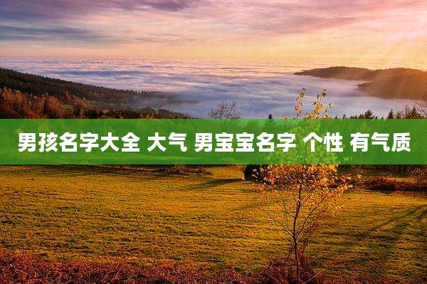 男孩名字大全 大气 男宝宝名字 个性 有气质