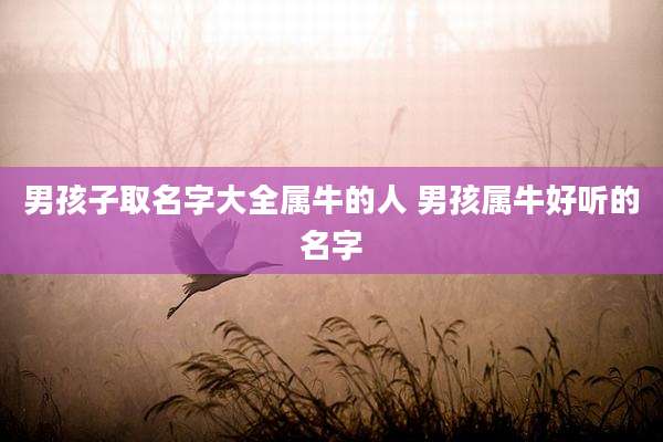 男孩子取名字大全属牛的人 男孩属牛好听的名字