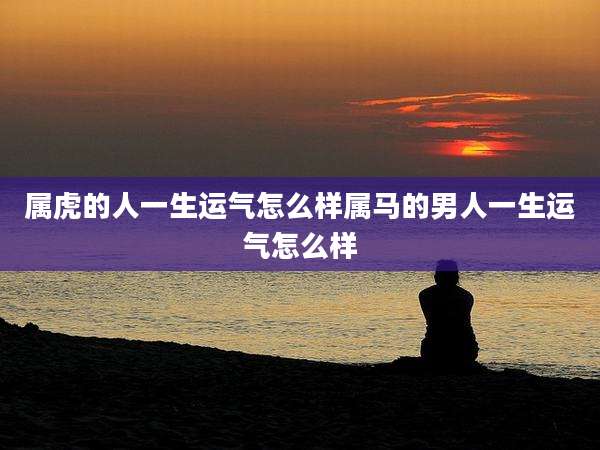 属虎的人一生运气怎么样属马的男人一生运气怎么样