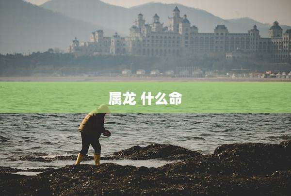 属龙 什么命